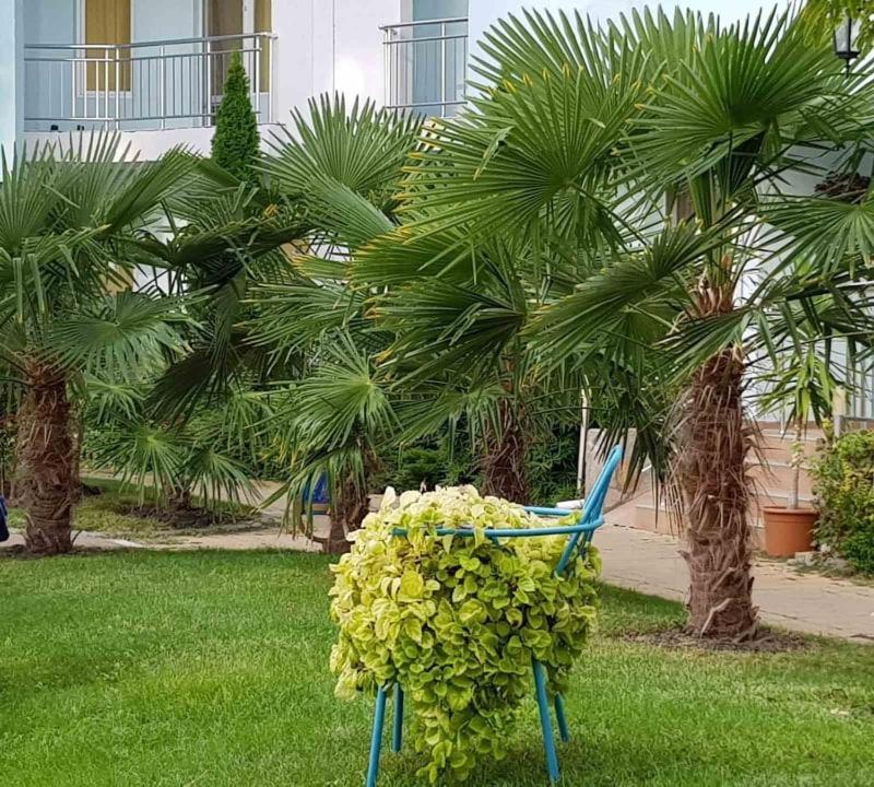 Yassen Holiday Village 써니비치 외부 사진