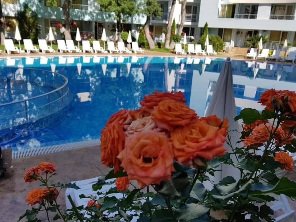 Yassen Holiday Village 써니비치 외부 사진
